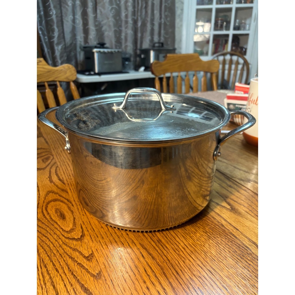 Williams Sonoma Stainless Steel Stock‎ Pot Dutch Oven Rapid Boil With Lid